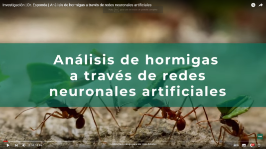 Análisis de hormigas a través de redes neuronales artificiales